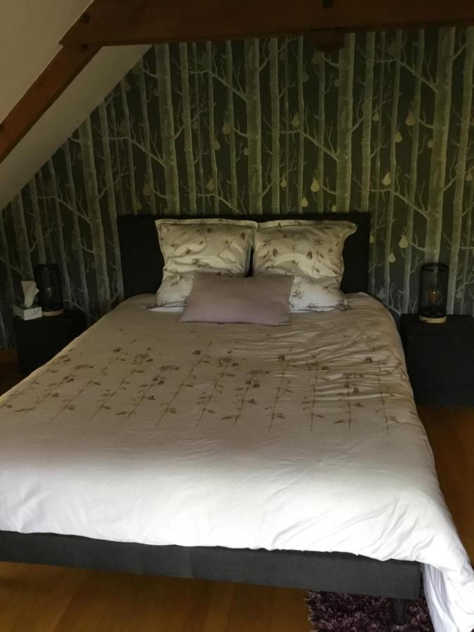 Janzé Chambre D Hote المظهر الخارجي الصورة